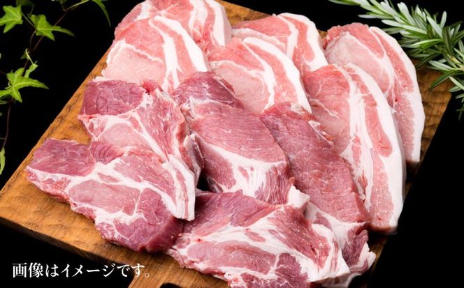 【全6回定期便】糸島産豚ロース肉6枚 肩ロースカツ5枚 合計11枚セット《糸島》【糸島ミートデリ工房】 [ACA230]