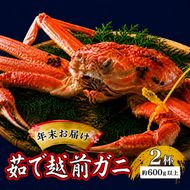 かに 年末に届く 茹で 越前がに 約600g 2杯 セット ずわい蟹 ボイルカニ ボイル 年末