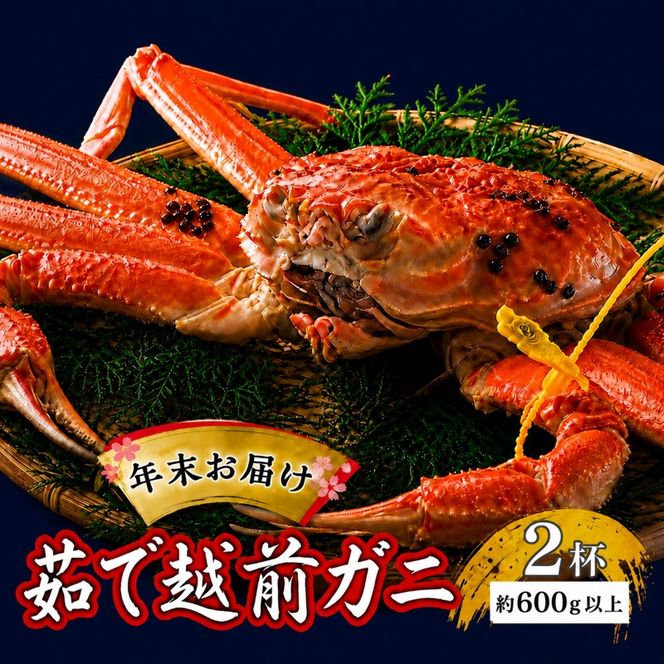 かに 年末に届く 茹で 越前がに 約600g 2杯 セット ずわい蟹 ボイルカニ ボイル 年末