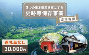 ON0008 【返礼品なし】3つの日本遺産を核とする史跡等保存応援寄附（大阪府泉佐野市）