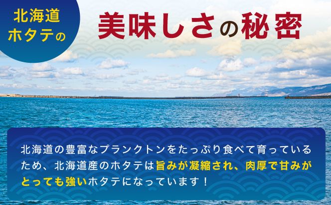 北海道 訳あり 冷凍 帆立 貝柱 1.1kg ホタテ 海鮮 ほたて 玉冷 お得 厚岸 