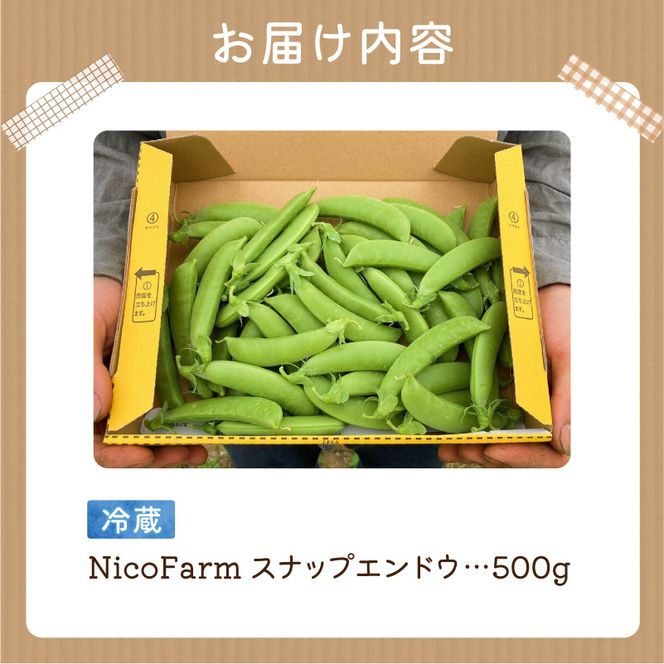 【先行予約：2026年6月上旬頃より発送】甘くてシャキシャキ！ おやつ感覚で食べられる スナップエンドウ 500g えんどう豆 夏野菜 おつまみ お弁当 旬の野菜 産地直送 NicoFarm_Y124-0047
