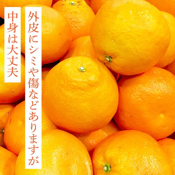 【CF-R7hbk】SKS027　訳あり “高知県産”ご家庭用ぽんかん（約5kg）〈須崎市共通返礼品〉みかん 農家直送 サイズ混合 有機質肥料100% ミカン 訳アリ ワケアリ 数量限定