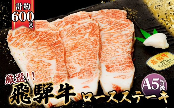 y򕌌RszX傱莓 ˋA5@[XXe[L@v600g [No.068]