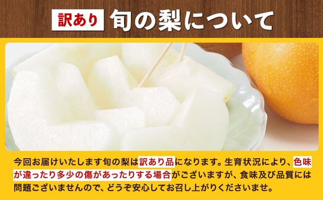 【先行予約】訳あり 旬の梨 約4kg 3-10玉前後 岡山県産 梨 訳あり 新高 愛宕 王秋梨 鴨梨 岡山 笠岡市《9月上旬-1月末頃に出荷予定》数量限定 梨 なし ナシ---kasaoka_zsy_50_40---