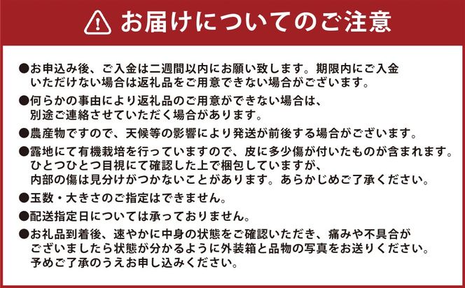 【先行受付】 有機JAS 新玉ねぎ 5kg 玉ねぎ 新たまねぎ 玉葱 たまねぎ 新玉 新玉葱 野菜【2026年3月上旬から4月上旬発送予定】