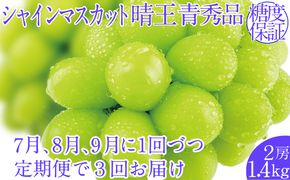 2026年予約受付中【3回定期便】シャインマスカット晴王 2房 約1.4kg 7月8月9月に出荷  人気 岡山県産 種無し 皮ごと食べる みずみずしい   ハレノフルーツ