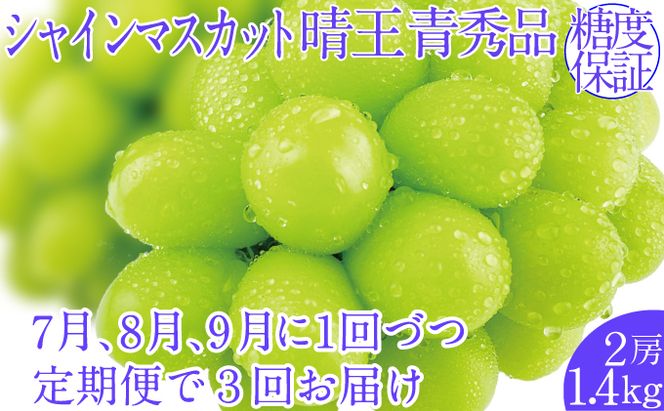 2026年予約受付中【3回定期便】シャインマスカット晴王 2房 約1.4kg 7月8月9月に出荷  人気 岡山県産 種無し 皮ごと食べる みずみずしい   ハレノフルーツ