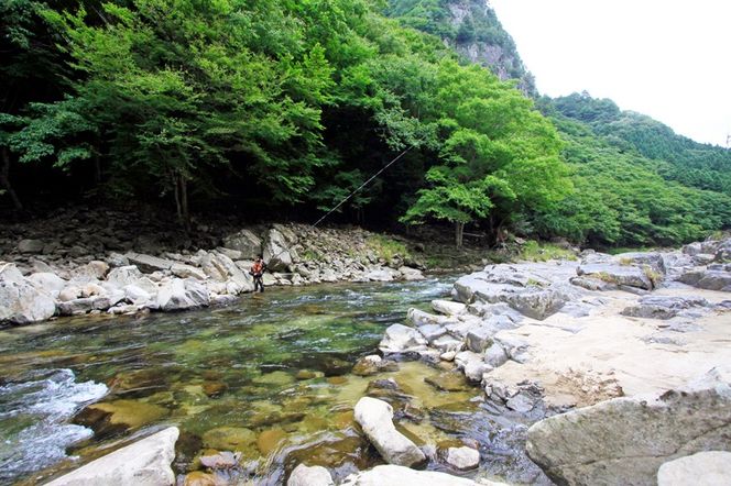 曽爾川で楽しむアユ入漁券 「解禁日当日 日券」との交換チケット 令和7年度に限りご利用可能 / アユ釣り 入漁券 曽爾川 鮎 アユ 