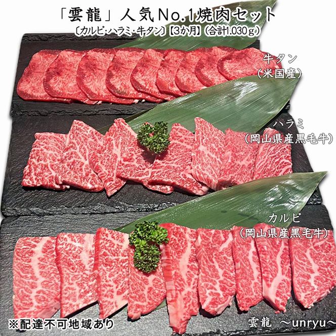 定期便 3ヶ月 人気 焼肉 セット 各回合計約1,030g カルビ ハラミ 牛タン【雲龍焼肉たれ付】 雲龍  岡山県産 肉 お肉 牛肉 和牛 牛カルビ 牛ハラミ 1030g 焼肉セット 焼き肉 3回 お楽しみ 