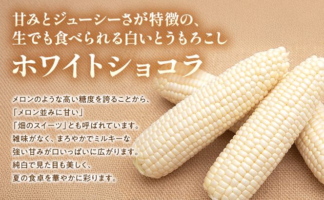 【2026年夏発送】富良野産 とうもろこし ホワイトショコラ 約6本 [近藤農園] とうもろこし コーン とうきび 野菜 新鮮 甘い 贈り物 ギフト 道産 ジューシー ふらの ブランド 夏 北海道 富良野市