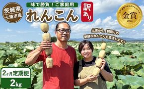 【定期便2ヶ月】【訳あり】土浦市産 れんこん 2㎏　味で勝負！タップリ大満足！ すずき蓮根農園のご家庭用れんこん「竹 2キロ」 ｜ 産地直送 茨城県 レンコン 蓮根 野菜 シャキシャキ ※離島への配送不可 ※2026年1月上旬頃より順次発送予定
