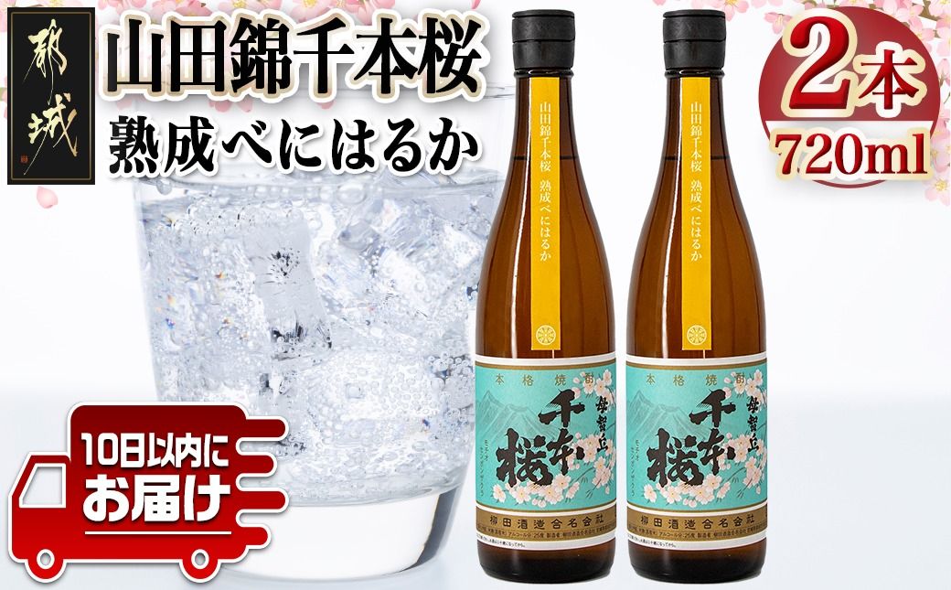 [柳田酒造]山田錦千本桜 熟成べにはるか(25度)720ml×2本 ≪みやこんじょ特急便≫_AA-0750_99