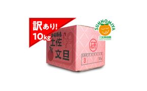 【先行予約】三宮果樹園の土佐文旦 訳あり 10kg〈2027年2月14日～2027年3月15日発送〉ぶんたん ブンタン 10キロ 20玉前後 フルーツ 柑橘 みかん 果物 くだもの 柑橘類 デザート ご自宅用 ご家庭用 自分用 お取り寄せ 高知県 土佐市【三宮果樹園】[BQAP004]