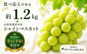 【2026年 先行予約】山梨県産　シャインマスカット 約1.2kg (２房～3房)　FB003|山梨 フルーツ シャイン シャインマスカット ぶどう 葡萄
