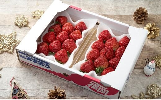 【冬】福岡産 あまおう いちご 約250～270g×2パック 【2025年12月上旬～2026年1月下旬発送予定】 大粒
