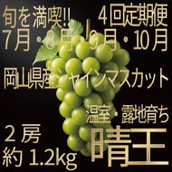 [HS]【定期便全4回】ぶどう先行予約7月・8月・9月・10月発送温室シャインマスカット晴王2房（合計約1.2kg）ブドウ 葡萄  岡山県産 国産 フルーツ 果物 ギフト デザート 食後 酸味が少ない 産地直送