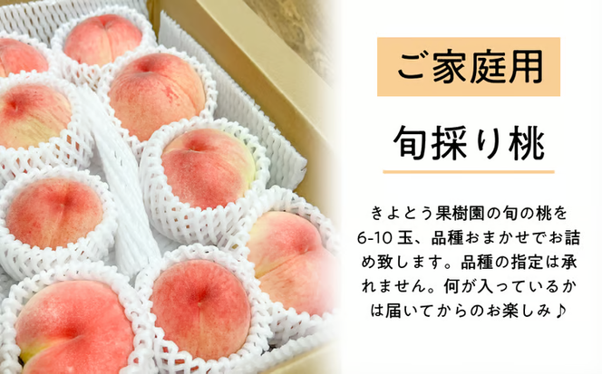 【2026年先行予約】旬採り桃 ご家庭用 6-10玉 (岡山県産) もも 真庭市 【KF-A018-04】