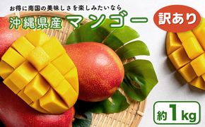 ハナトフルーツ 沖縄県産 訳ありマンゴー1ｋｇ 【 先行予約 2026年発送 】