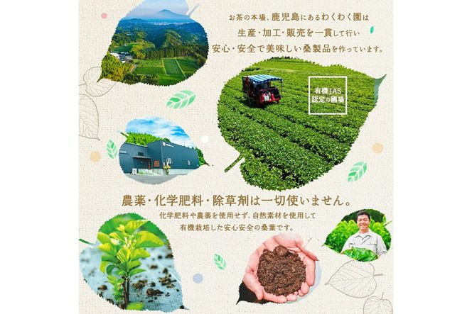 a933 さつま桑茶10袋セット【わくわく園】桑の葉 桑 桑茶 国産 高級品種 センシン