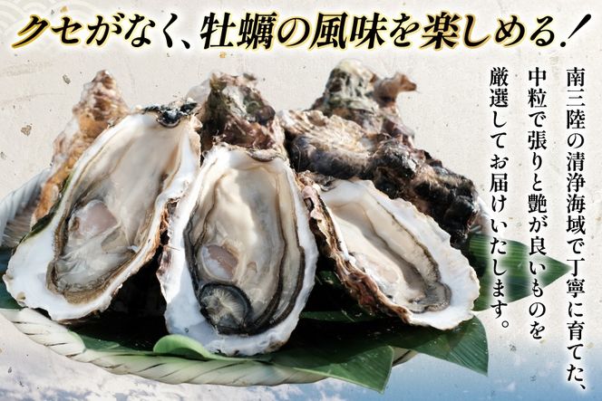 【期間限定発送】 宮城県産 むき身 極粒旨かき 生食用 300g ×1p[丸壽阿部商店 宮城県 南三陸町 m304bir010000] かき カキ 牡蠣 生牡蠣 貝 魚介類 剥き身 むき身 殻なし 冷蔵 新鮮 なべ カキフライ 牡蠣ご飯 濃厚