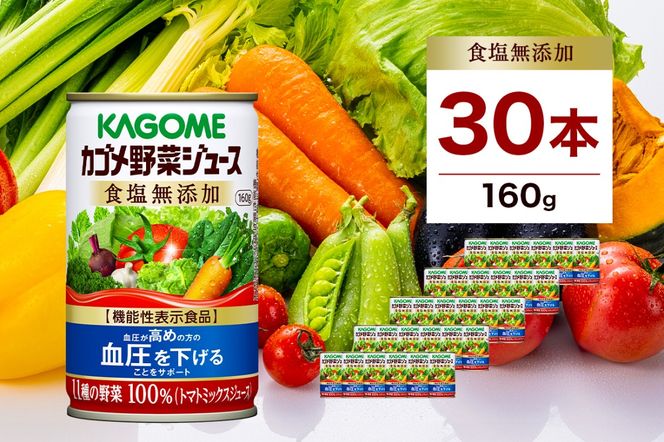 ns111-006-30 	カゴメ 野菜ジュース 食塩無添加 160g 30本
