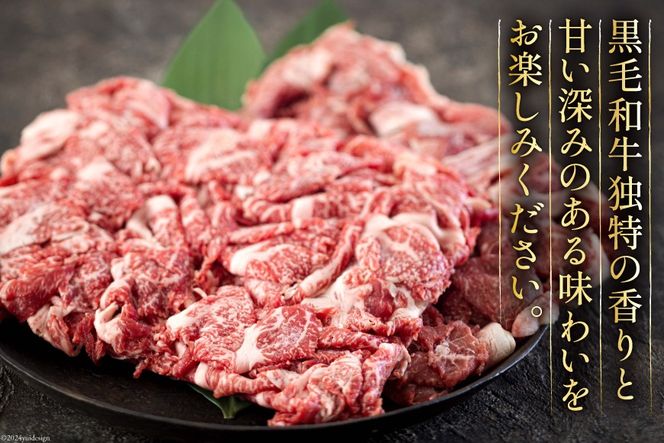 黒毛和牛 切り落とし 500g×2 計1kg [アグリ産業匠泰 宮崎県 美郷町 31be0023] 小分け 牛肉 切落し モモ バラ 牛丼 肉じゃが しぐれ煮 煮込み 炒め 焼肉 普段使い 調理 おかず 料理 国産 送料無料 パック 牛 すき煮 肉豆腐 甘辛煮 ハヤシライス すき焼き