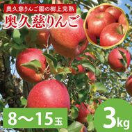 先行予約 奥久慈 りんご 3kg 8～15玉 樹上完熟 茨城県 大子町 フルーツ 果物 国産 詰め合わせ ふじ 秋映 陽光 シナノゴールド シナノスイート 秋 旬 お取り寄せ 数量限定 【2026年9月中旬頃順次発送開始予定】(AI003-1)