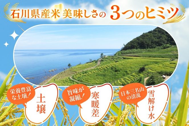 米 定期便 無洗米 ひゃくまん穀 5kg × 12回 総計60kg [中橋商事株式会社 石川県 宝達志水町 38601384] お米 コメ こめ kome ごはん 無洗 定期 12ヶ月 ひゃくまんごく 5キロ 能登