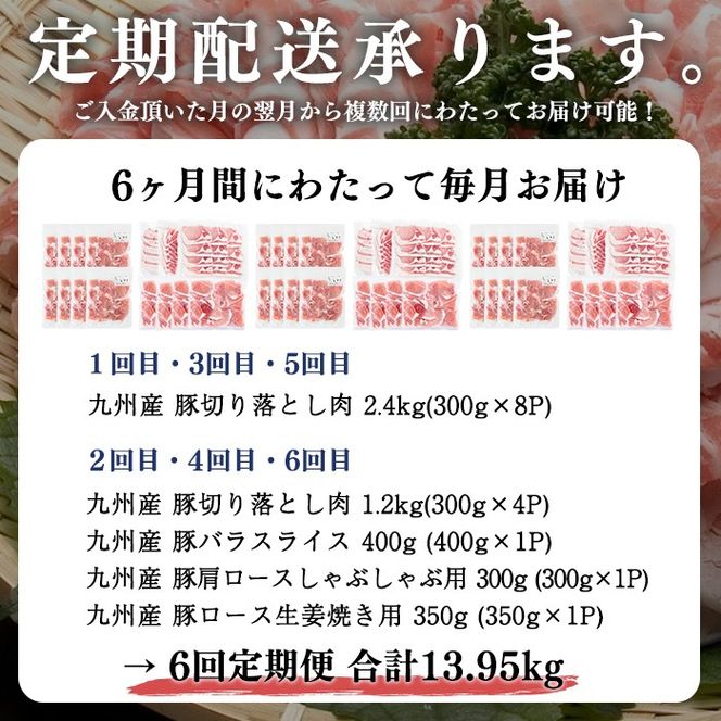 【定期便 全6回】九州産豚肉 生活応援定期便(計13.95kg) t0075-001