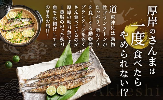 先行予約 産地直送 北海道 厚岸産 刺身用 鮮さんま 2kg（16～20尾） サンマ 秋刀魚 さんま 鮮魚 魚介類 海産 生さんま 