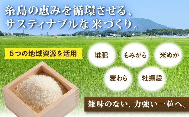 【令和7年産】【スピード発送】 にこまる 玄米品質1等米 白米 5kg 糸島市産 糸島市 / 糸島の恵み コメ こめ ご飯[AGR001]
