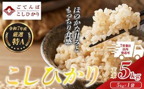 令和7年産 コシヒカリ 【 玄米 】 5㎏ 