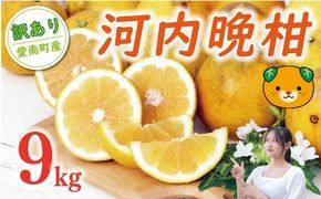 数量限定 先行予約 訳あり 河内晩柑 樹齢 20年以上 9kg （ Lサイズ 以上 ） 9000円 みかん mikan 蜜柑 ミカン わけあり かわちばんかん 愛南ゴールド あいなん ゴールド 文旦 派生 和製 グレープフルーツ 家庭用 産地直送 国産 農家直送 期間限定 特産品 ゼリー ジュース 人気 限定 甘い フルーツ 果物 柑橘 蜜柑 規格外 くらもとファーム 愛南町 愛媛県