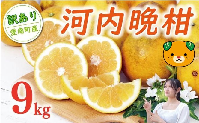 数量限定 先行予約 訳あり 河内晩柑 樹齢 20年以上 9kg （ Lサイズ 以上 ） 9000円 みかん mikan 蜜柑 ミカン わけあり かわちばんかん 愛南ゴールド あいなん ゴールド 文旦 派生 和製 グレープフルーツ 家庭用 産地直送 国産 農家直送 期間限定 特産品 ゼリー ジュース 人気 限定 甘い フルーツ 果物 柑橘 蜜柑 規格外 くらもとファーム 愛南町 愛媛県