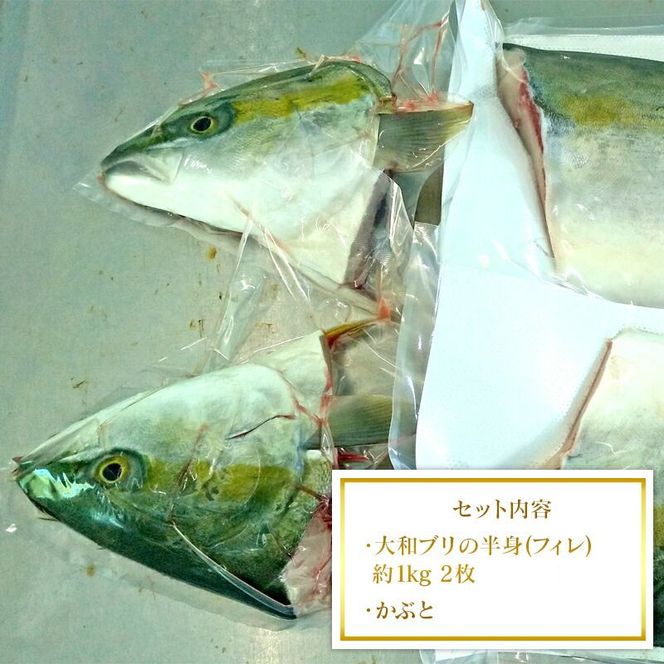 【大和ブリ】　半身（フィレ）約1kg×2枚　かぶと付き　N072-YD0190