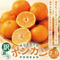 【訳あり】人気の柑橘室戸産ポンカン２.５㎏　rk007