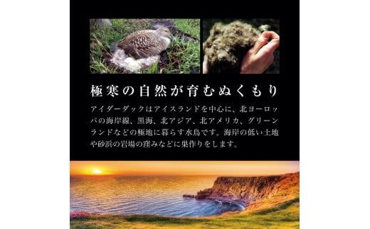 【老舗寝具メーカーロマンス小杉監修】羽毛の宝石「アイダーダウン」をさらに手選別した至高の羽毛肌掛けふとん(シングル) ブルー / エンジ