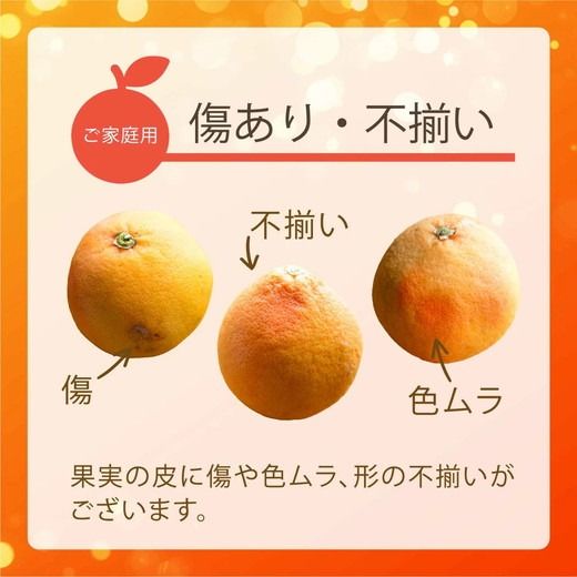 【先行受付予約】国産グレープフルーツ 家庭用7kg（15～20玉） 訳あり 柑橘 スタールビー ノーワックス 防腐剤なし 果物 ジュース ジャム 青果 旬 アロマ できるだけ農薬を使わない ※2026年5月上旬～8月上旬頃に順次発送予定