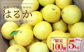 【先行予約】 爽やかに 甘い ！ 糸島産 「 はるか 」 贈答用 約 5kg 【2025年3月より順次発送】二丈赤米産直センター[ABB001]