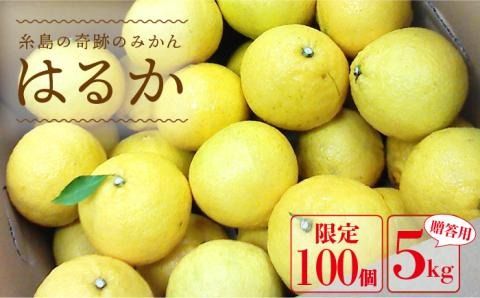 【年内発送】【先行予約】 爽やかに 甘い ！ 糸島産 「 はるか 」 贈答用 約 5kg 【2025年3月より順次発送】二丈赤米産直センター[ABB001]