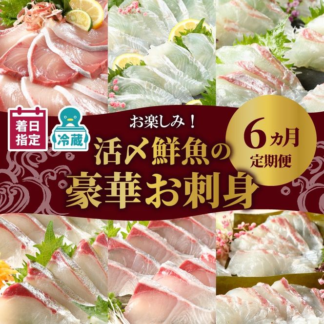 【お楽しみ定期便】延岡産活〆鮮魚の豪華お刺身 （6ヶ月定期便）請関水産　N019-YF073