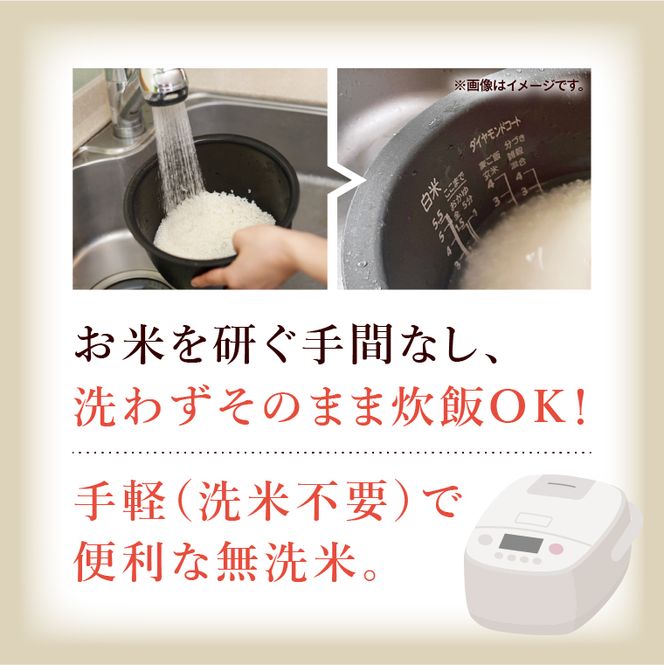 令和7年産 茨城県産 無洗米コシヒカリ10kg（5kg×2袋）【お米 米 コメ こめ こしひかり 無洗米 北茨城市 茨城県】(AL257)