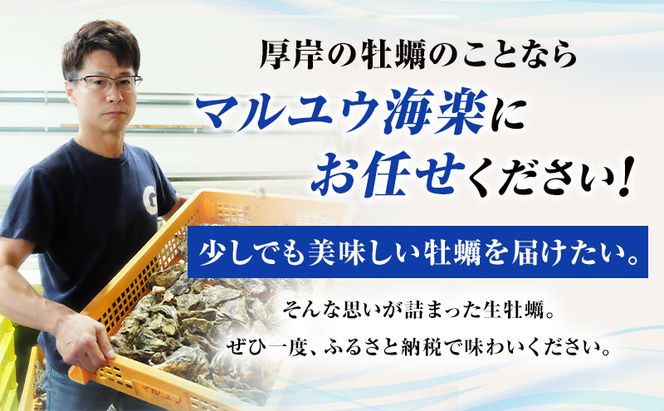 4月発送【他月は別ページ】訳あり 牡蠣 北海道厚岸産 殻付カキ 約4kg (25から50個) カキナイフ付 生食 生牡蠣 貝付き牡蠣 貝 海鮮 魚介類 殻付き牡蠣 マルえもん