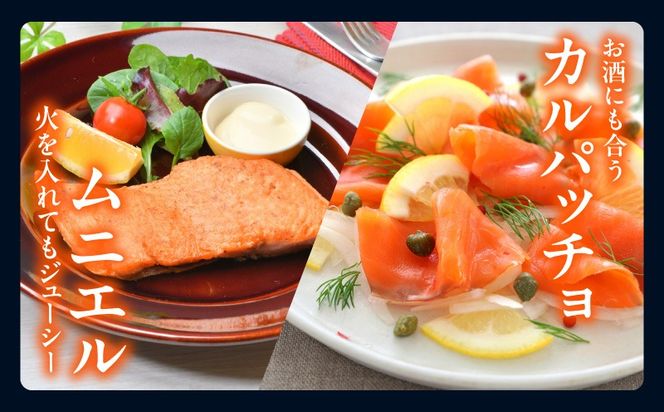 nbj0010 国産アトランティックサーモン 500g ポーション【小分け 真空パック 訳あり サイズ不揃い 刺身 海鮮丼 さーもん 鮭 さけ シャケ しゃけ 冷凍】