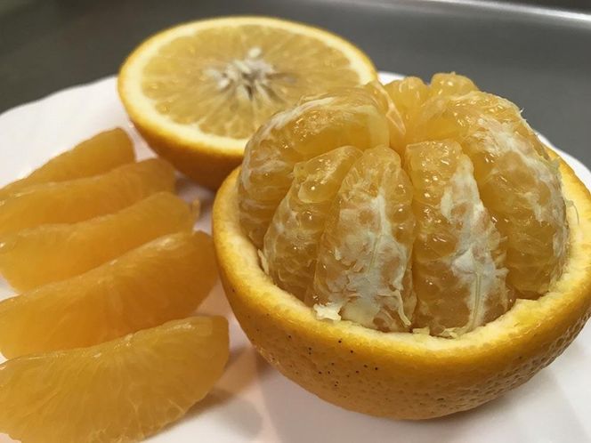 化粧箱 手詰め 有田 はっさく 特秀 大玉 2L サイズ × 7玉入 南泰園 みかん BS698