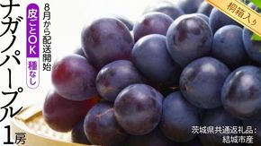 【 桐箱入り 】 ナガノパープル 1房 【2026年8月から発送開始】（茨城県共通返礼品 [ぶどう]：結城市産） 果物 フルーツ マスカット ぶどう ギフト 贈答 プレゼント 桐箱 [BI338-NT]