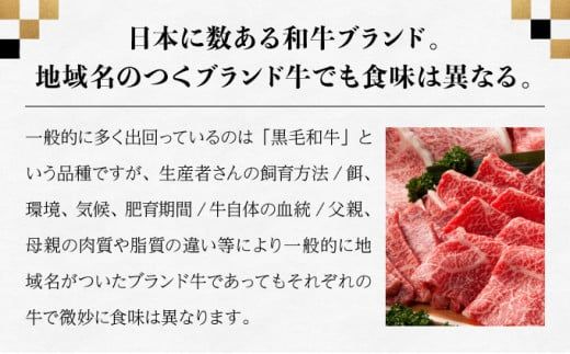 佐賀牛セット 年4回定期便コース(4人前) P-193