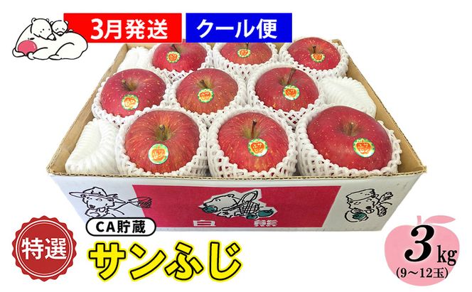 【クール便】3月発送 白熊 特選 サンふじ 絆 約3kg 糖度13度【青森りんご 果物 フルーツ 食後 デザート シャキシャキ ジューシー りんごの王様 】