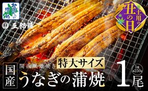 099H3443d 【7/26土用の丑の日】超ビッグサイズ！数量限定！老舗「五郎藤」 関西風地焼き 国産有頭旨鰻 250g×1尾【特大 うなぎ ウナギ 蒲焼き 炭火】